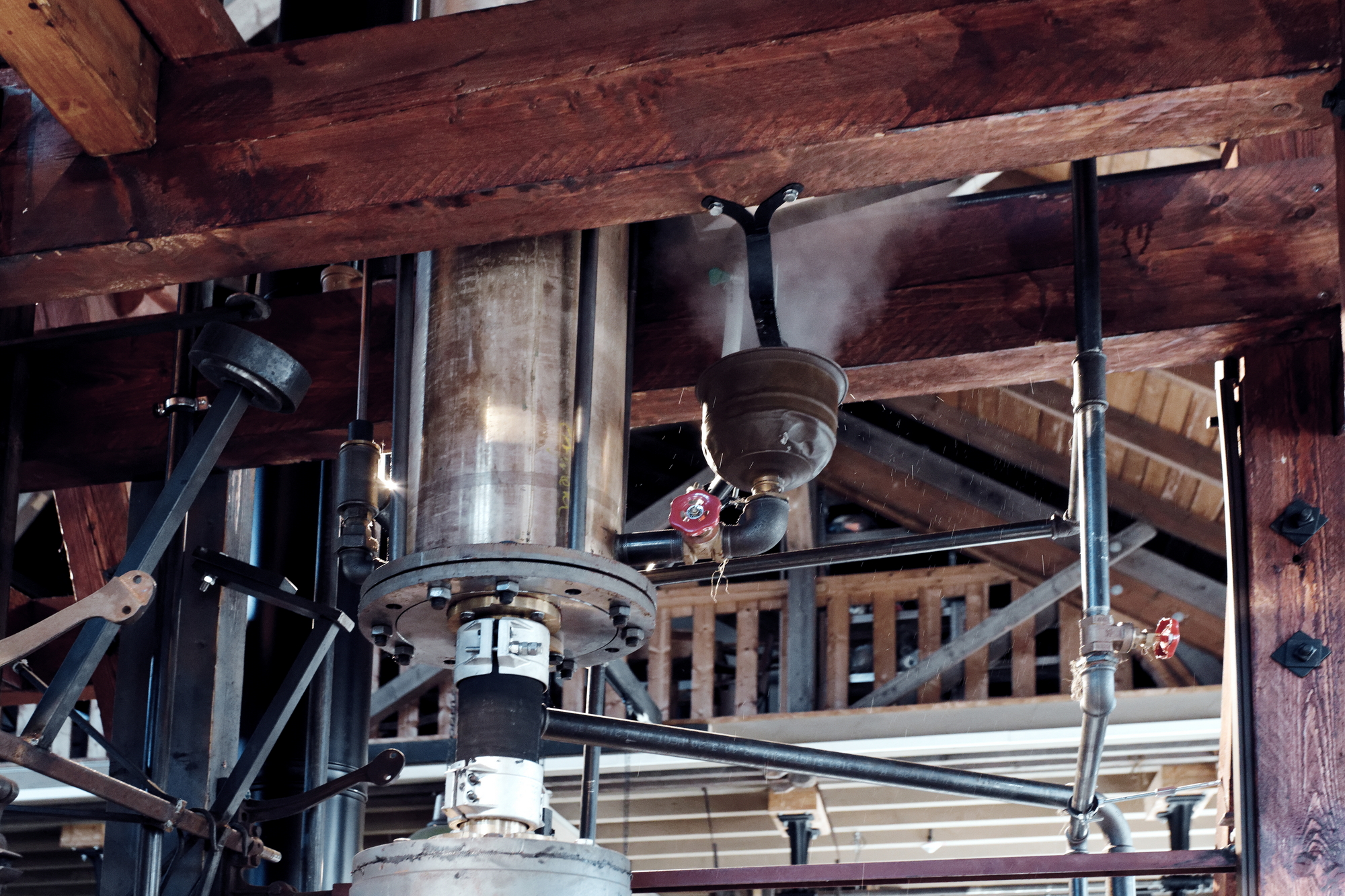 IMG_5169_DXO-LUT_Berlin